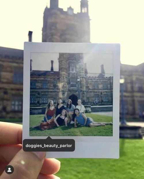 2024新澳三期必出一肖|探索澳门的秘密与美景_Harmony款.4.833