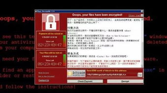 新奥彩最新版本更新内容|前沿解答解释落实_Shop.8.839