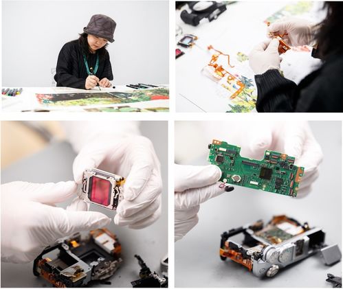 澳门芳草地资料|探索未知的奇妙世界_先锋版IP.0.957