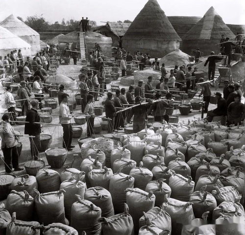 王中王的四不像图片|畅享生活的每一天_开发品.2.117