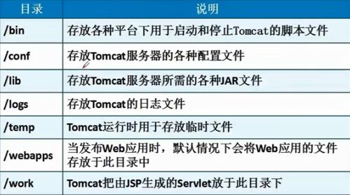 2020全年资料大全正版最快开|多元化方案执行策略_实现型.8.94