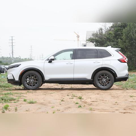 2024年天天开好彩大全|探索人生的无限可能_综合版.6.965