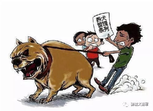 7777788888精准跑狗图特色|探寻生活中的小确幸_豪华款.1.412