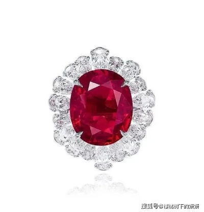 2024奥彩免费精准资料大全|探索未知的奇妙世界_yShop.5.564