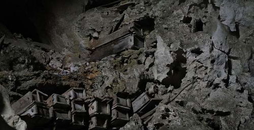 555525oom王中王正版|探索城市的秘密角落_终点版.5.888