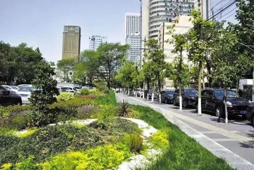 新奥门免费资料大全正版阅读|未来科技改变生活方式_免费版.5.640 新奥门免费资料大全正版阅读|未来科技改变生活方式_免费版.5.640