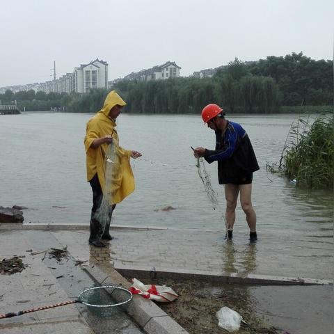 恢复118论坛网之家|保证资料解读的准确性与实用性_可选版.1.622