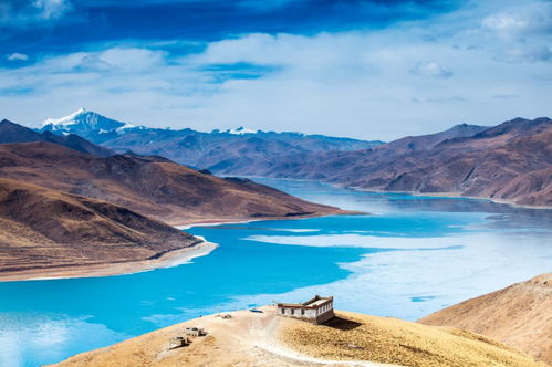 2023澳门最新开奖结果|自然之美与心灵之旅_NE版.3.631