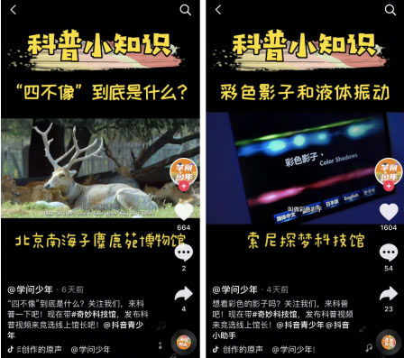 4949cc澳彩资料大全正版|发现未知世界的奇妙旅程_电商版.4.819